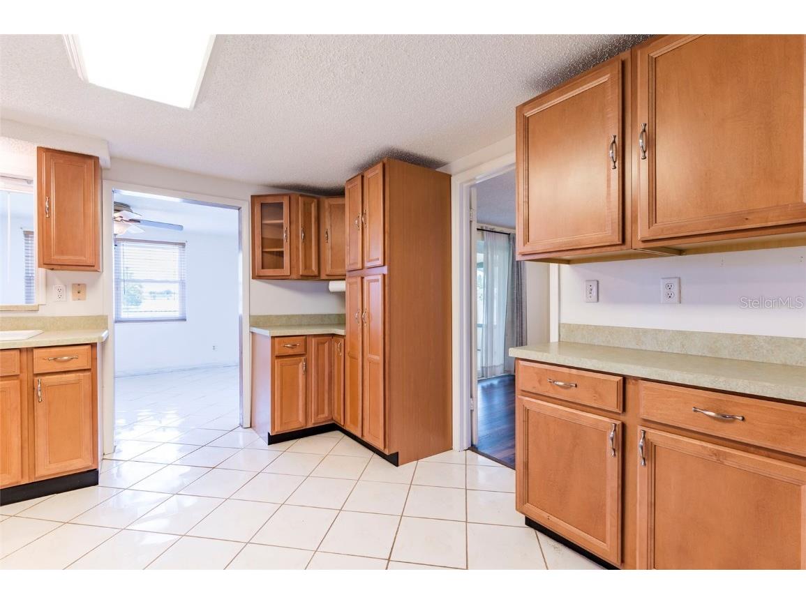 2640 Albion Street Holiday FL 34691 - LAKE CONLEY TB8415518 image11