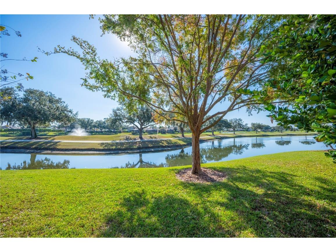 2640 Bellerive Drive Lakeland FL 33803 L4957613 image59