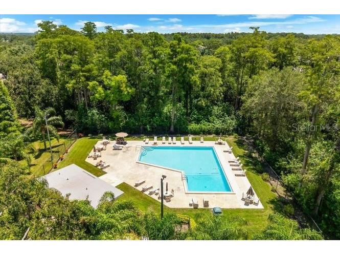 2640 Cedar View Court #101C Clearwater FL 33761 TB8456760 image24