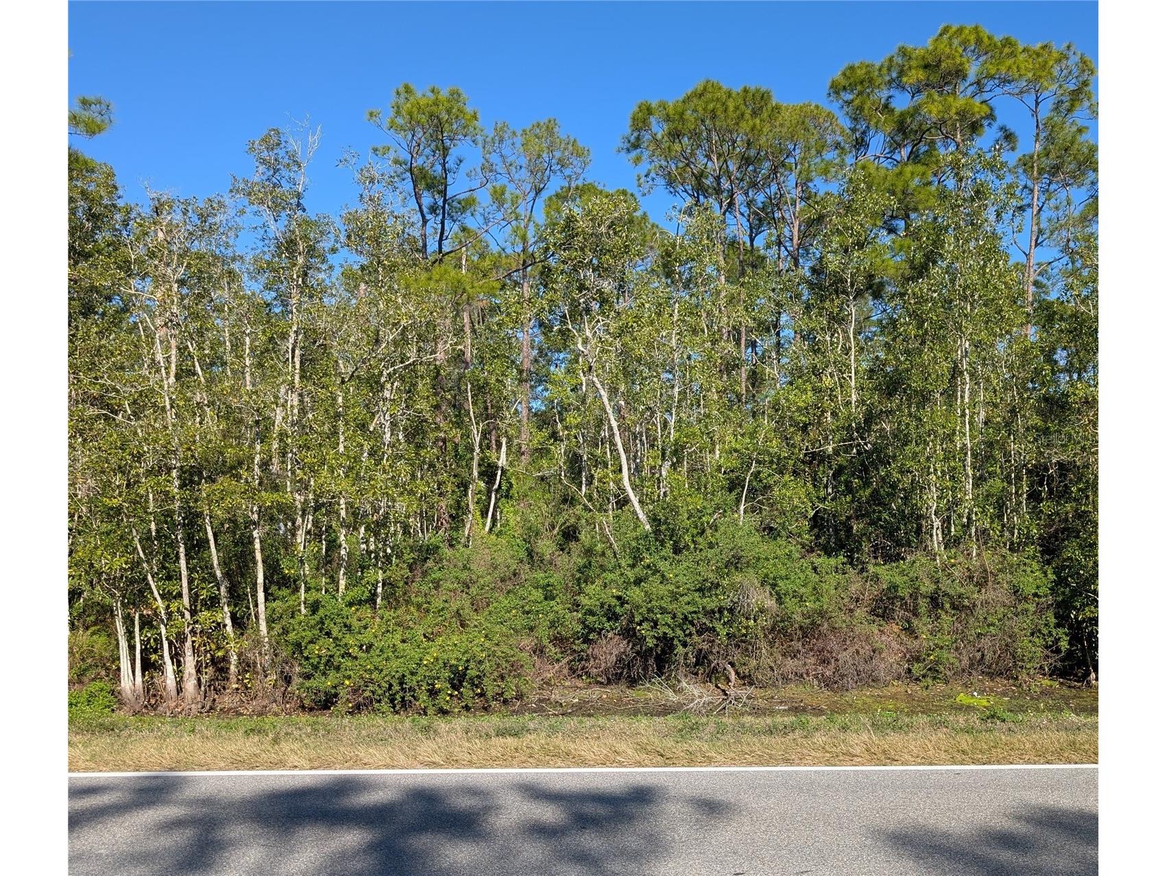2640 Hammock Road Sebring FL 33872 L4958160 image1