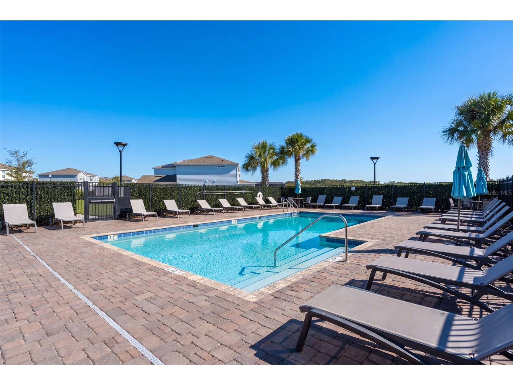 2640 Hilltop Loop Apopka FL 32712 O6413407 image47