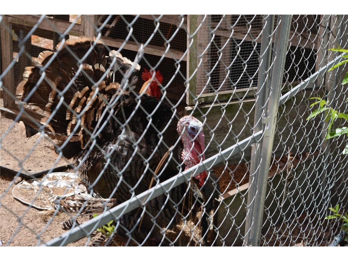 2640 NE 74th Avenue High Springs FL 32643 GC530557 image40