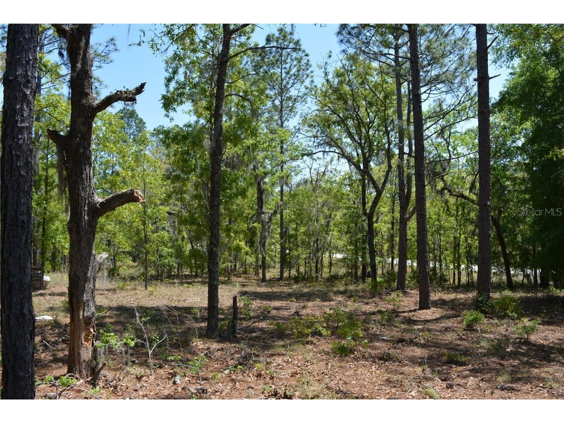 2640 NE 74th Avenue High Springs FL 32643 GC530557 image44