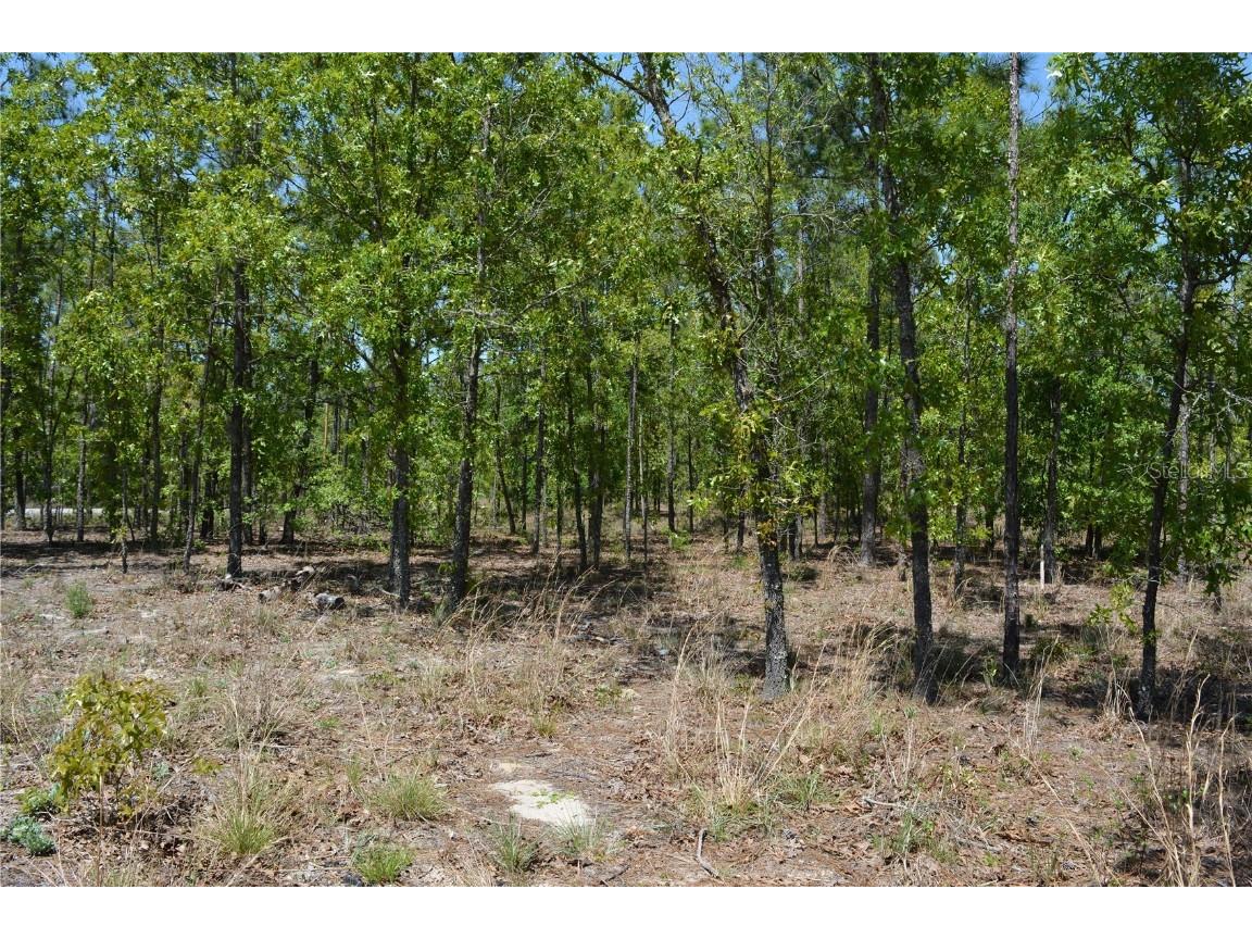 2640 NE 74th Avenue High Springs FL 32643 GC530557 image45