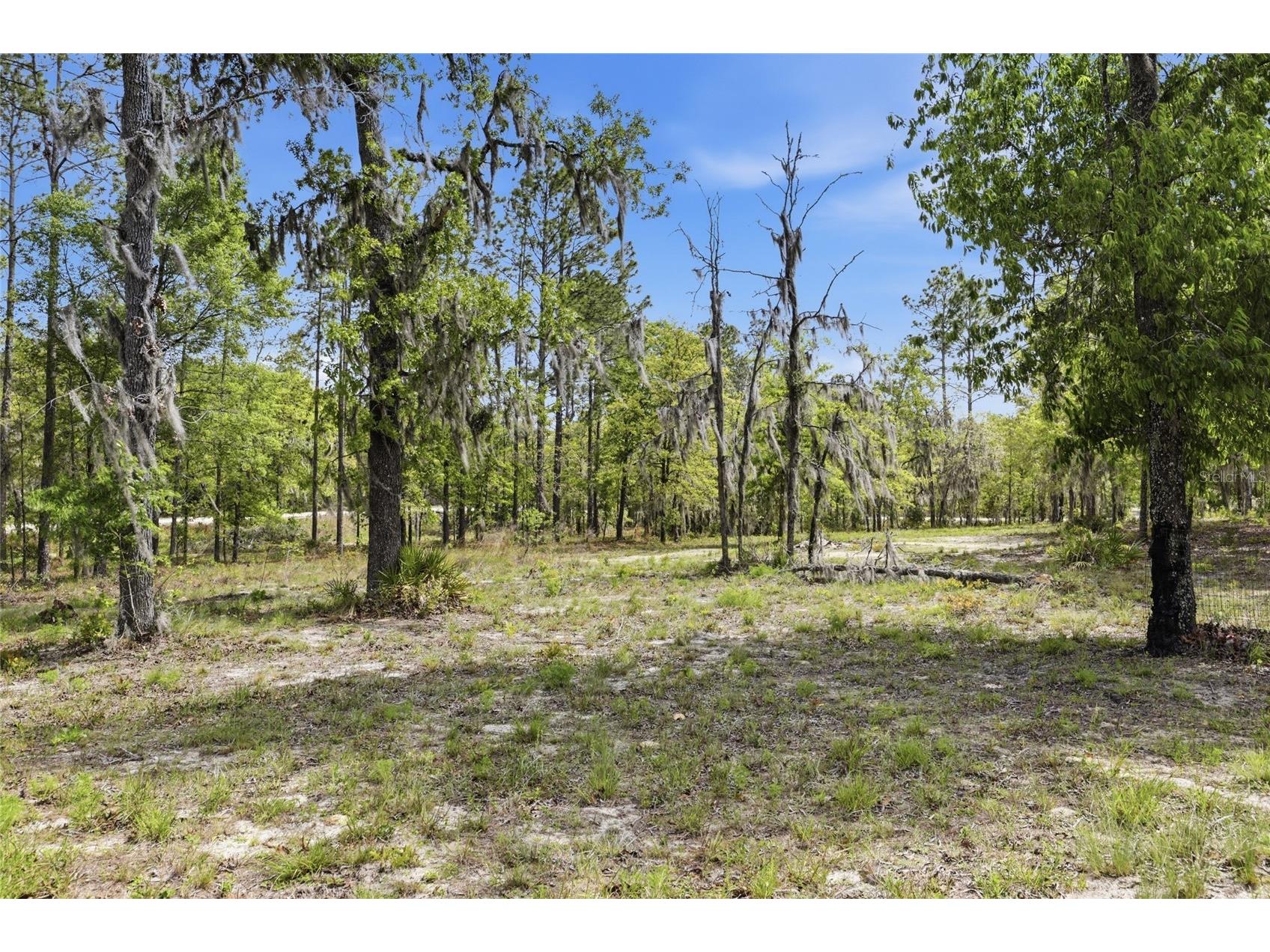 2640 NE 74th Avenue High Springs FL 32643 GC539395 image42