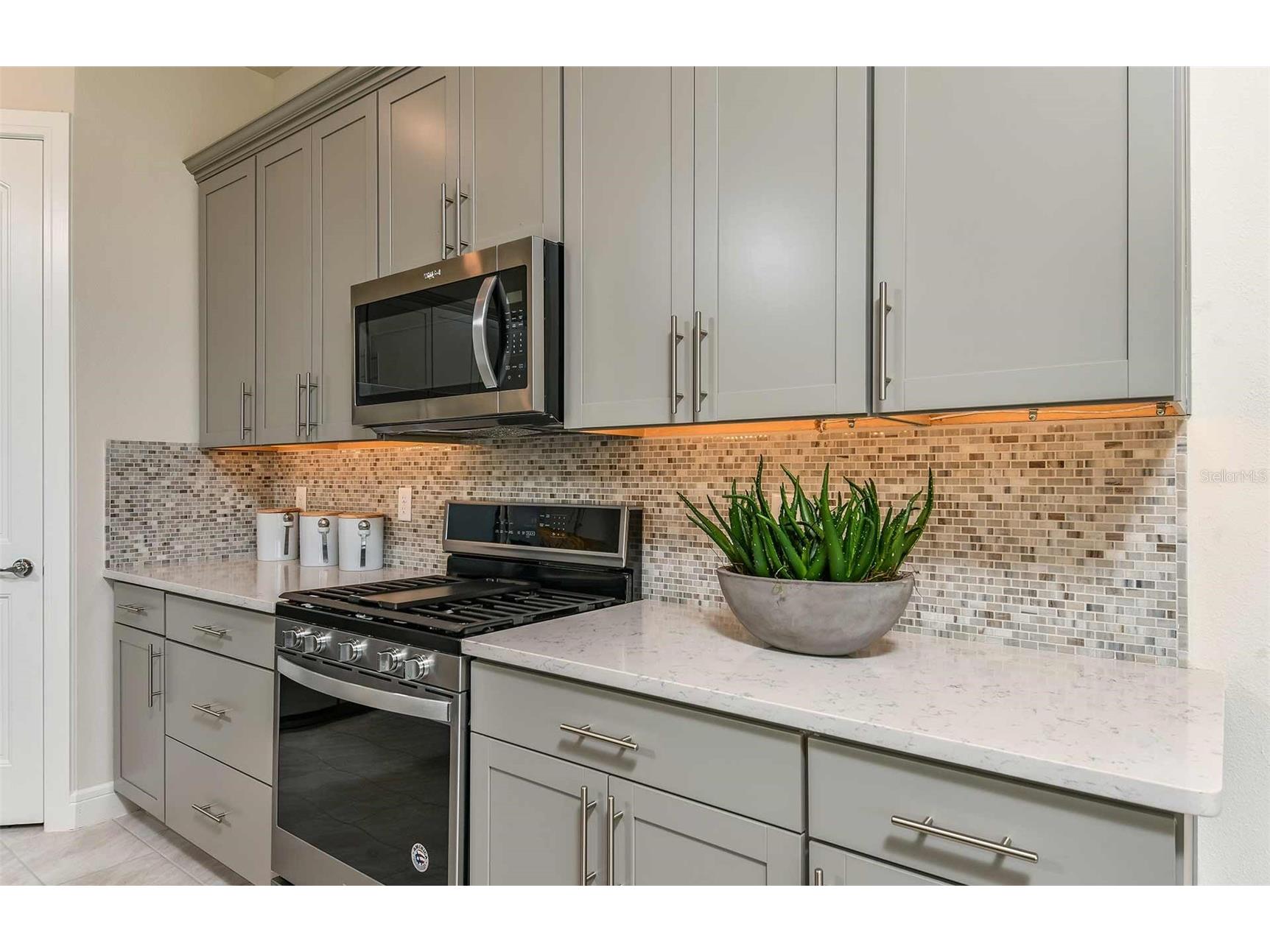 2640 Serenity Garden Drive Kissimmee FL 34744 O6393207 image6