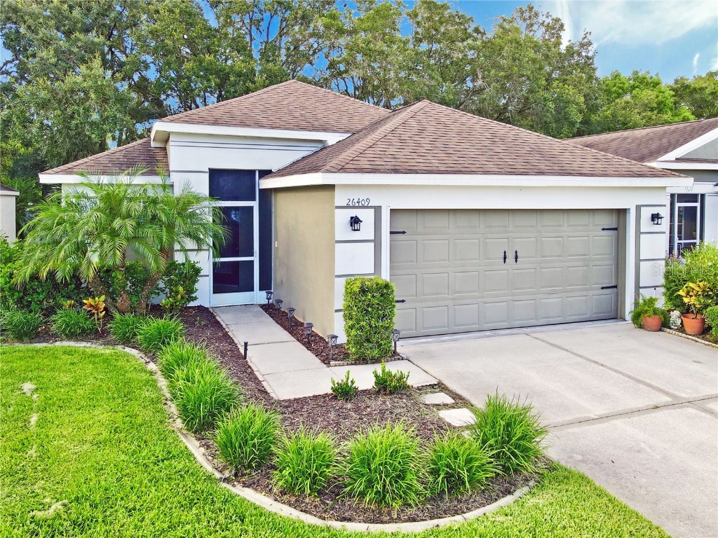 26409 Whirlaway Terrace Wesley Chapel FL 33544 T3467622 image1