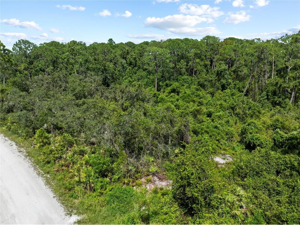 2641 Bear Run S Frostproof FL 33843 S5132407 image8
