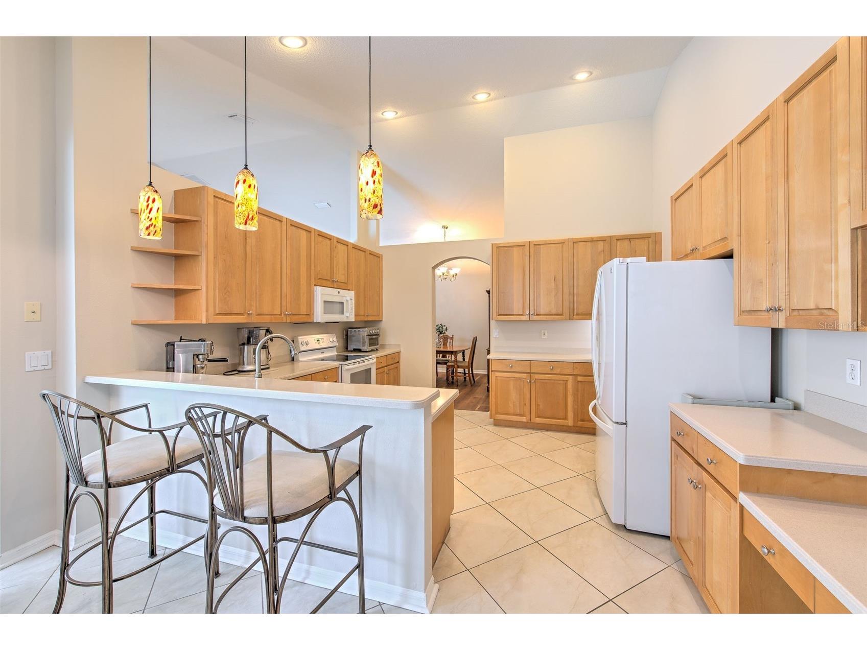 2641 Brookville Drive Valrico FL 33596 TB8479750 image8