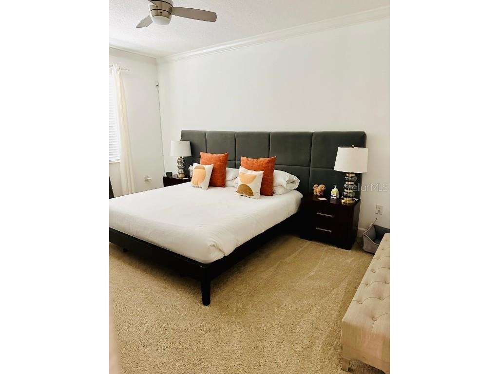 2641 Calistoga Avenue Kissimmee FL 34741 S5120661 image40