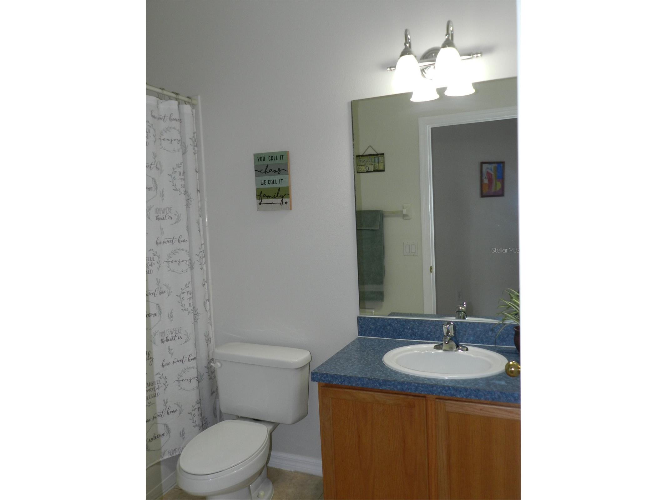 2641 Meadow View Court Kissimmee FL 34746 S5141306 image35