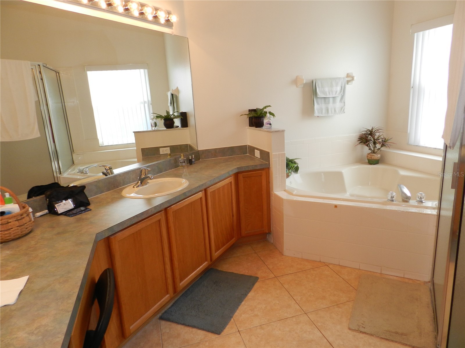 2641 Meadow View Court Kissimmee FL 34746 S5141306 image47