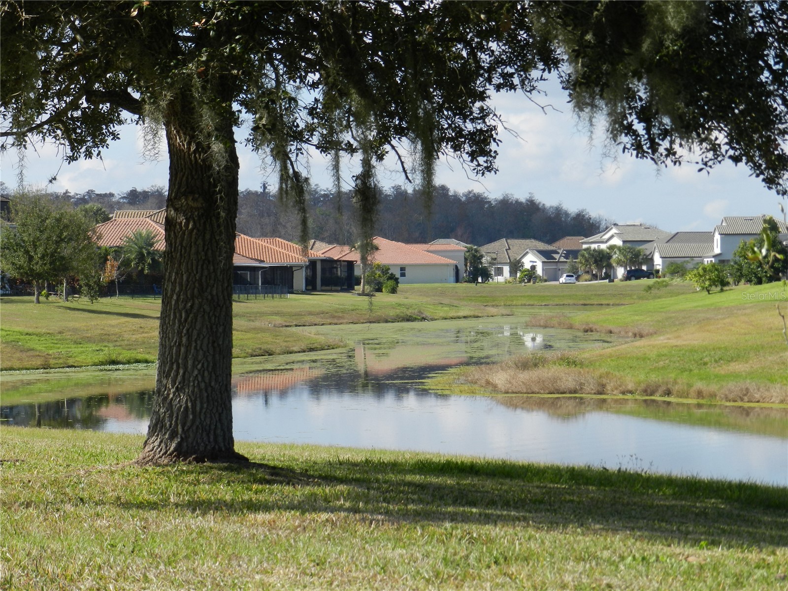 2641 Meadow View Court Kissimmee FL 34746 S5141306 image5