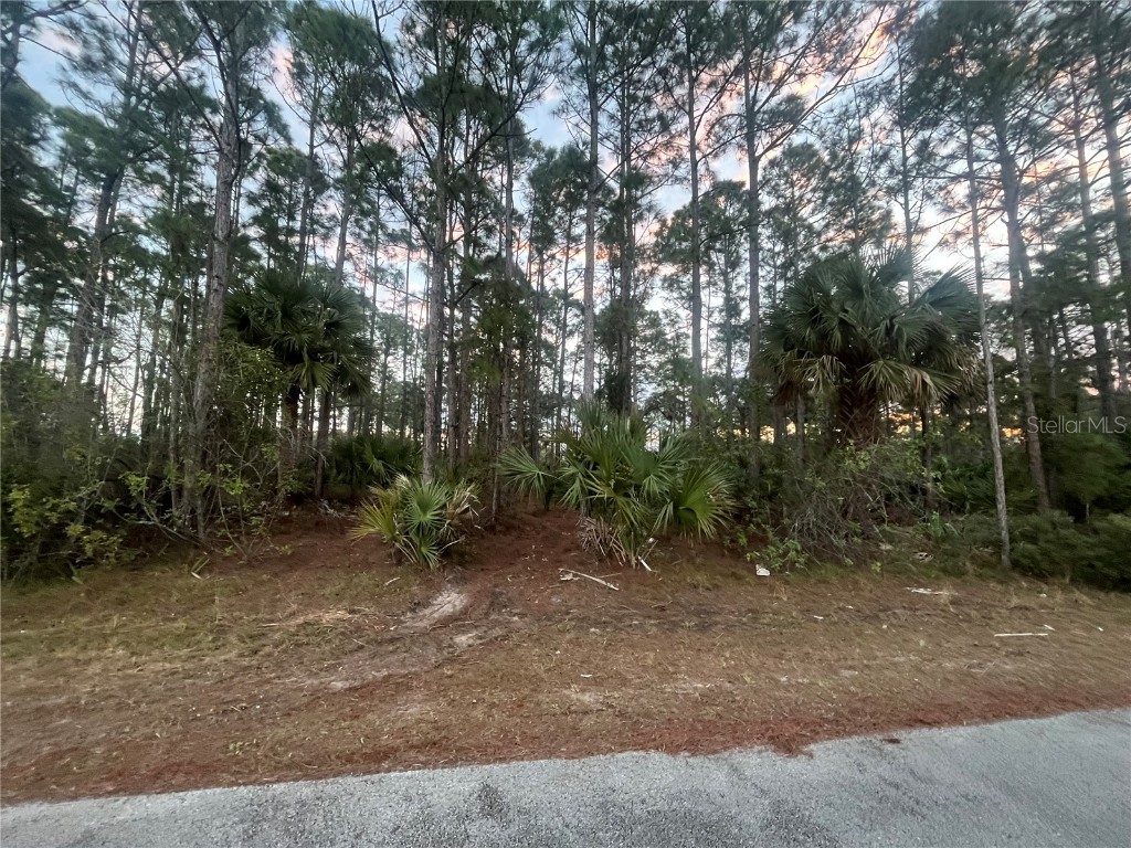 2641 Quincy Avenue SE Palm Bay FL 32909 OK224884 image1