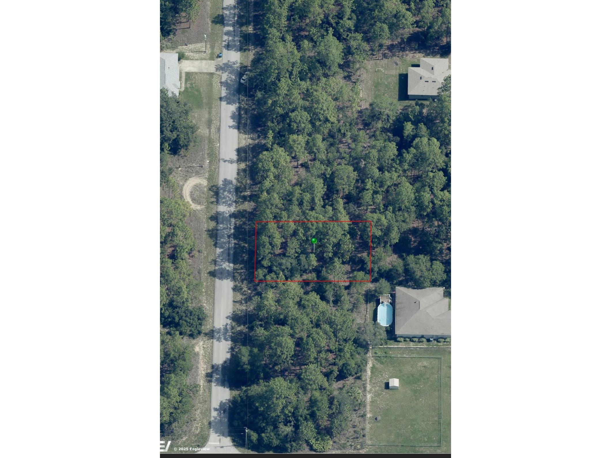 2641 W Braganza Street Dunnellon FL 34433 OM711654 image3