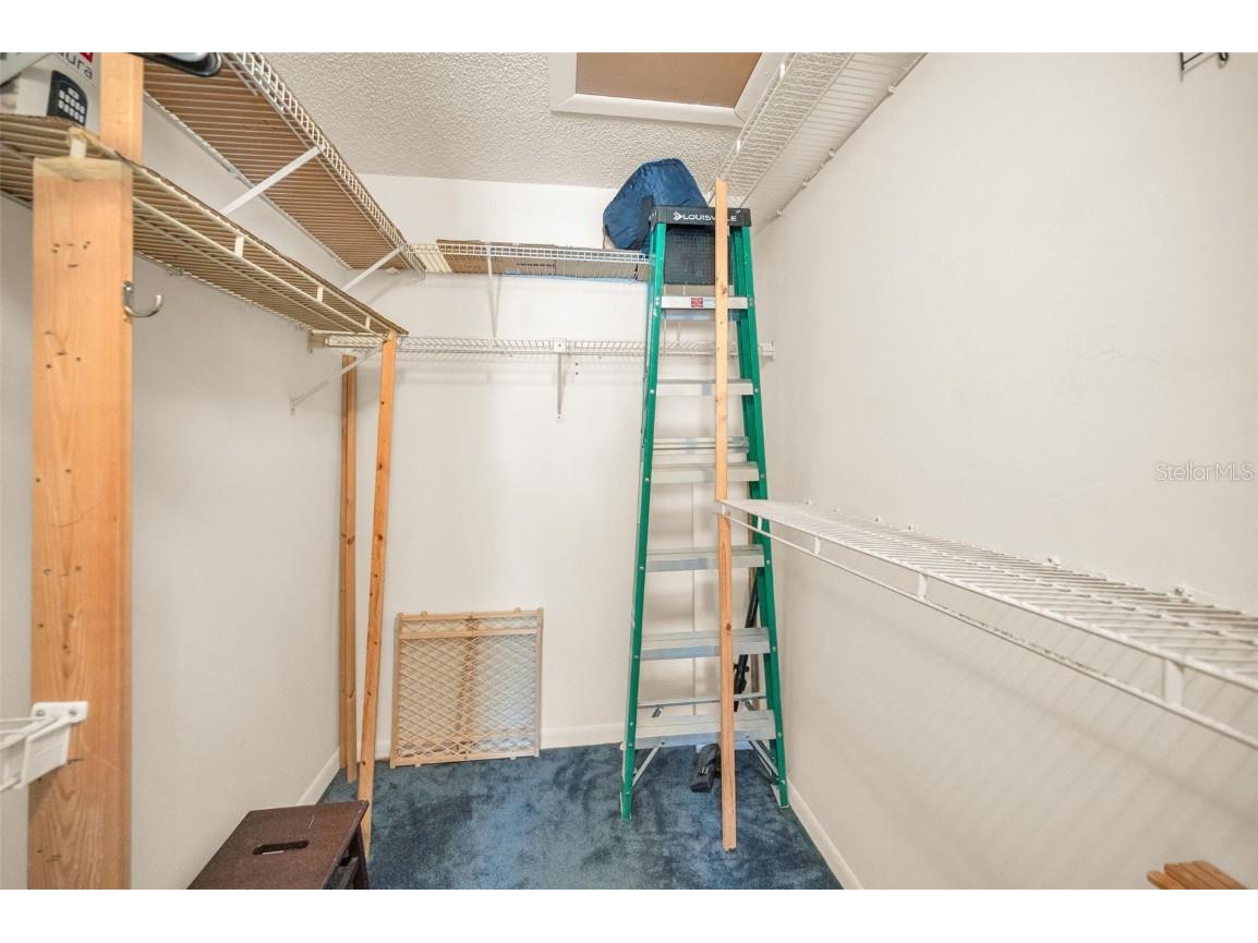 2642 Pine Ridge Way S #D2 Palm Harbor FL 34684 TB8423017 image31