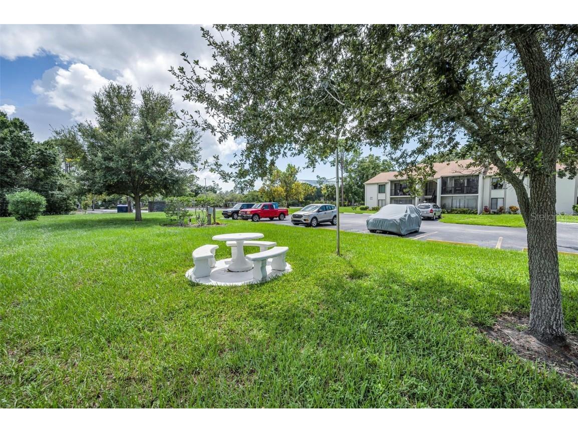 2642 Pine Ridge Way S #D2 Palm Harbor FL 34684 TB8423017 image34