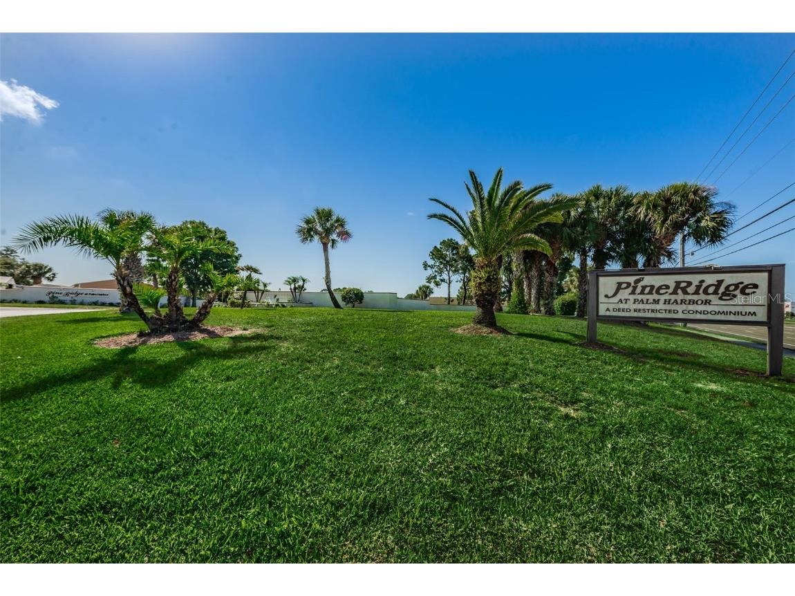 2642 Pine Ridge Way S #D2 Palm Harbor FL 34684 TB8423017 image39
