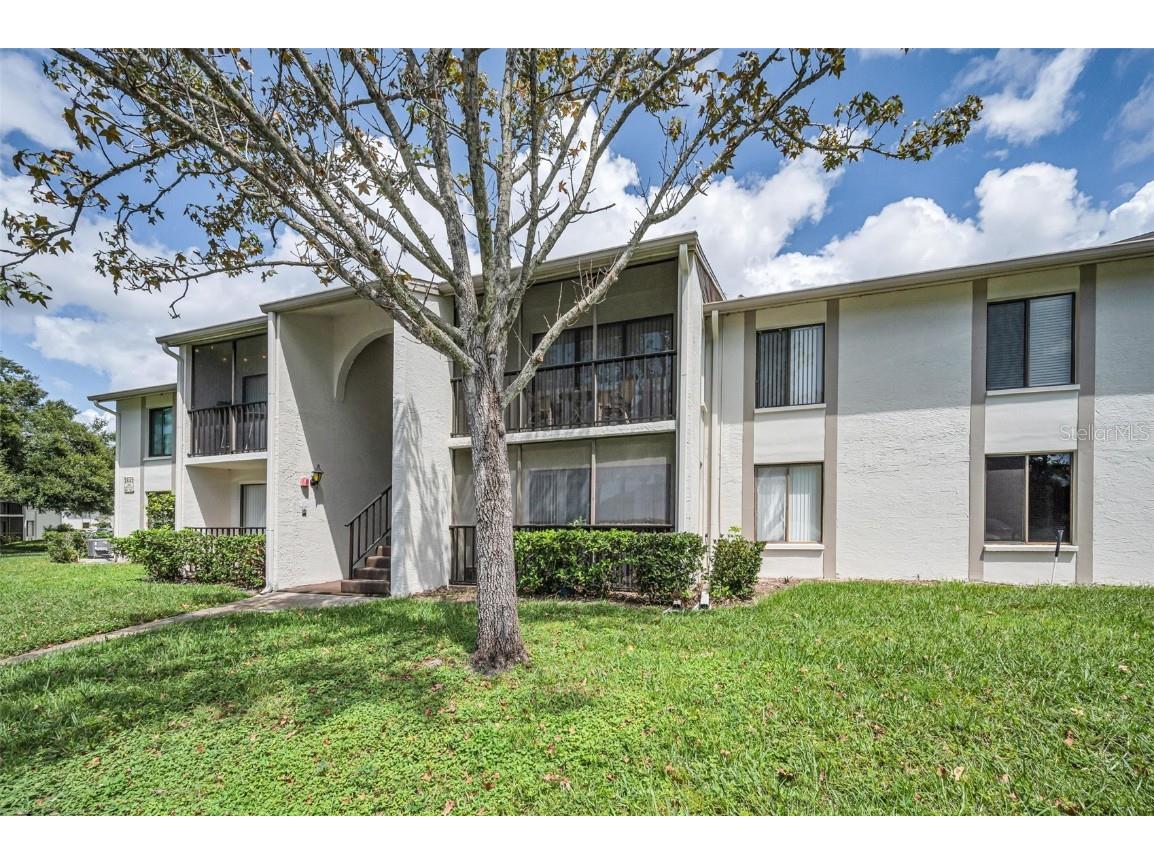 2642 Pine Ridge Way S #D2 Palm Harbor FL 34684 TB8423017 image5