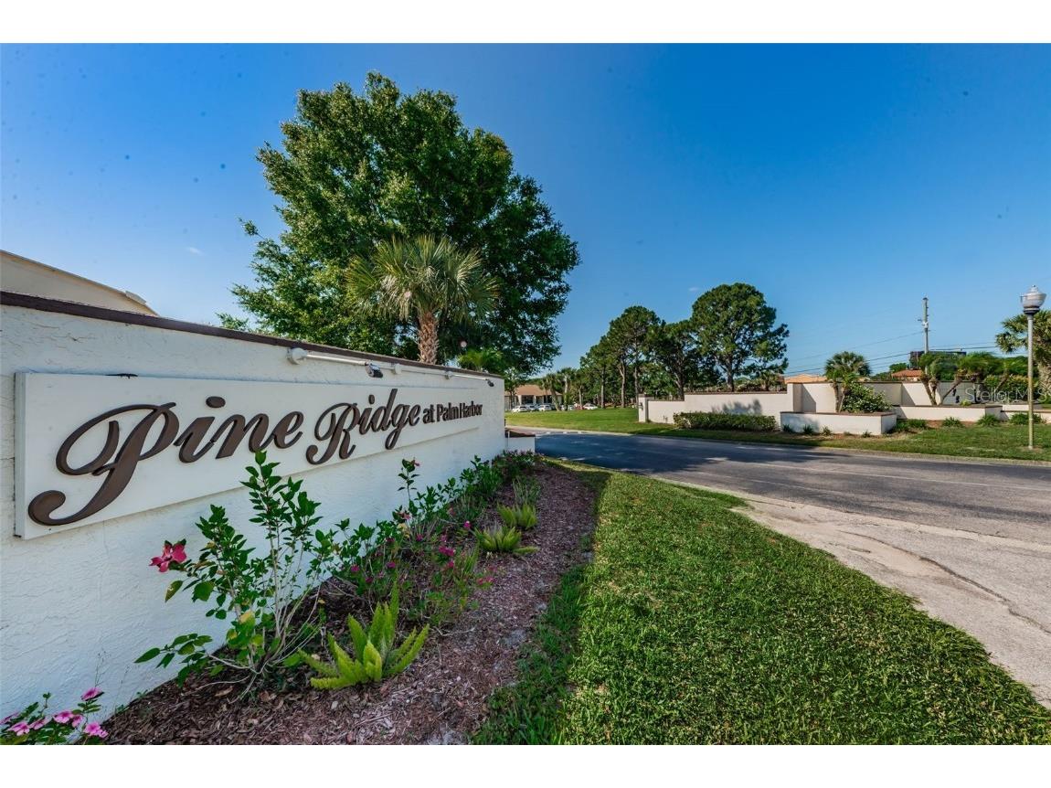 2642 Pine Ridge Way S #D2 Palm Harbor FL 34684 TB8423017 image55
