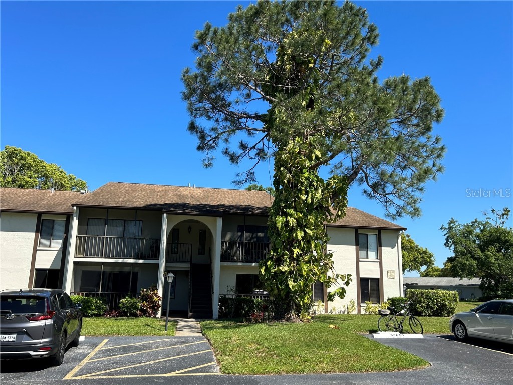 2642 Pine Ridge Way S #H1 Palm Harbor FL 34684 W7863415 image1