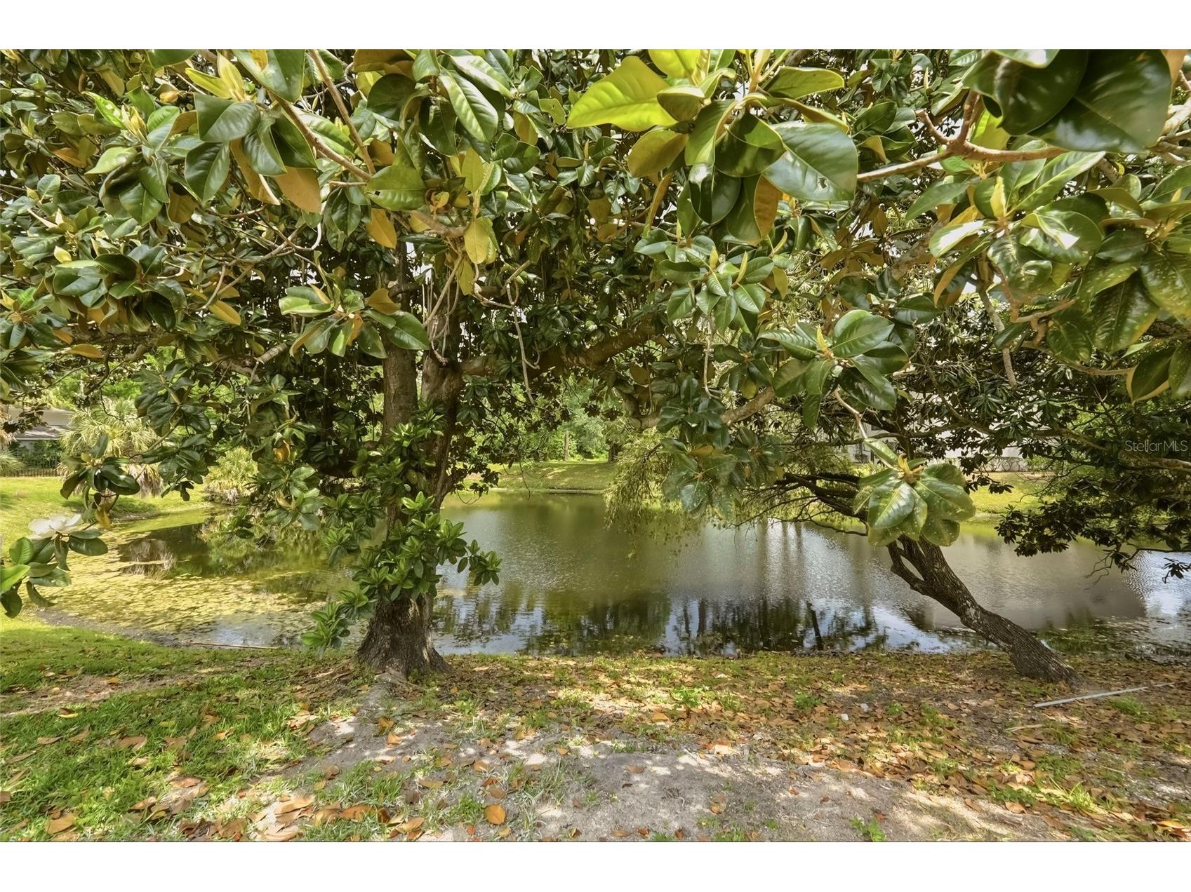 2643 Burntfork Drive Clearwater FL 33761 TB8501035 image36