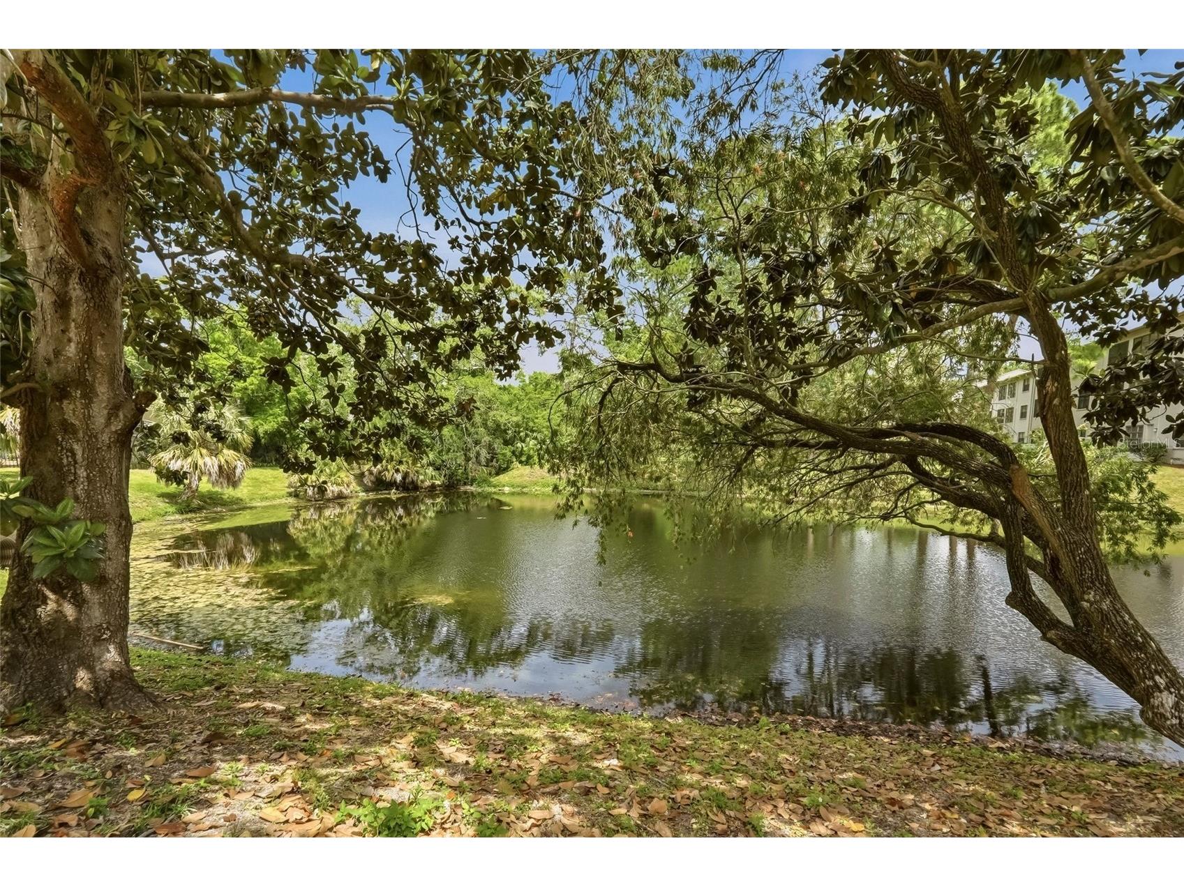 2643 Burntfork Drive Clearwater FL 33761 TB8501035 image37