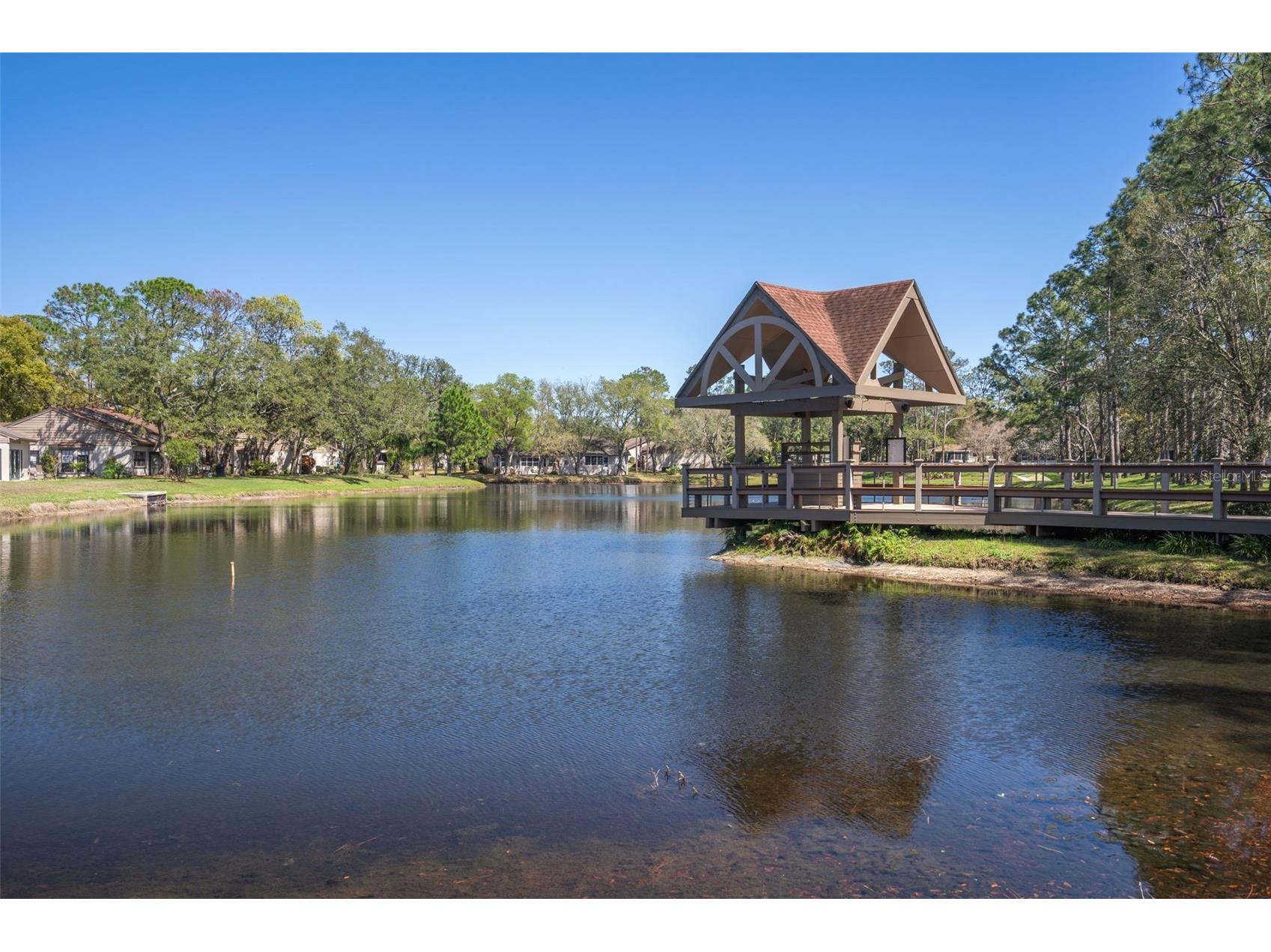 2643 Royal Ridge Drive Spring Hill FL 34606 W7885579 image52