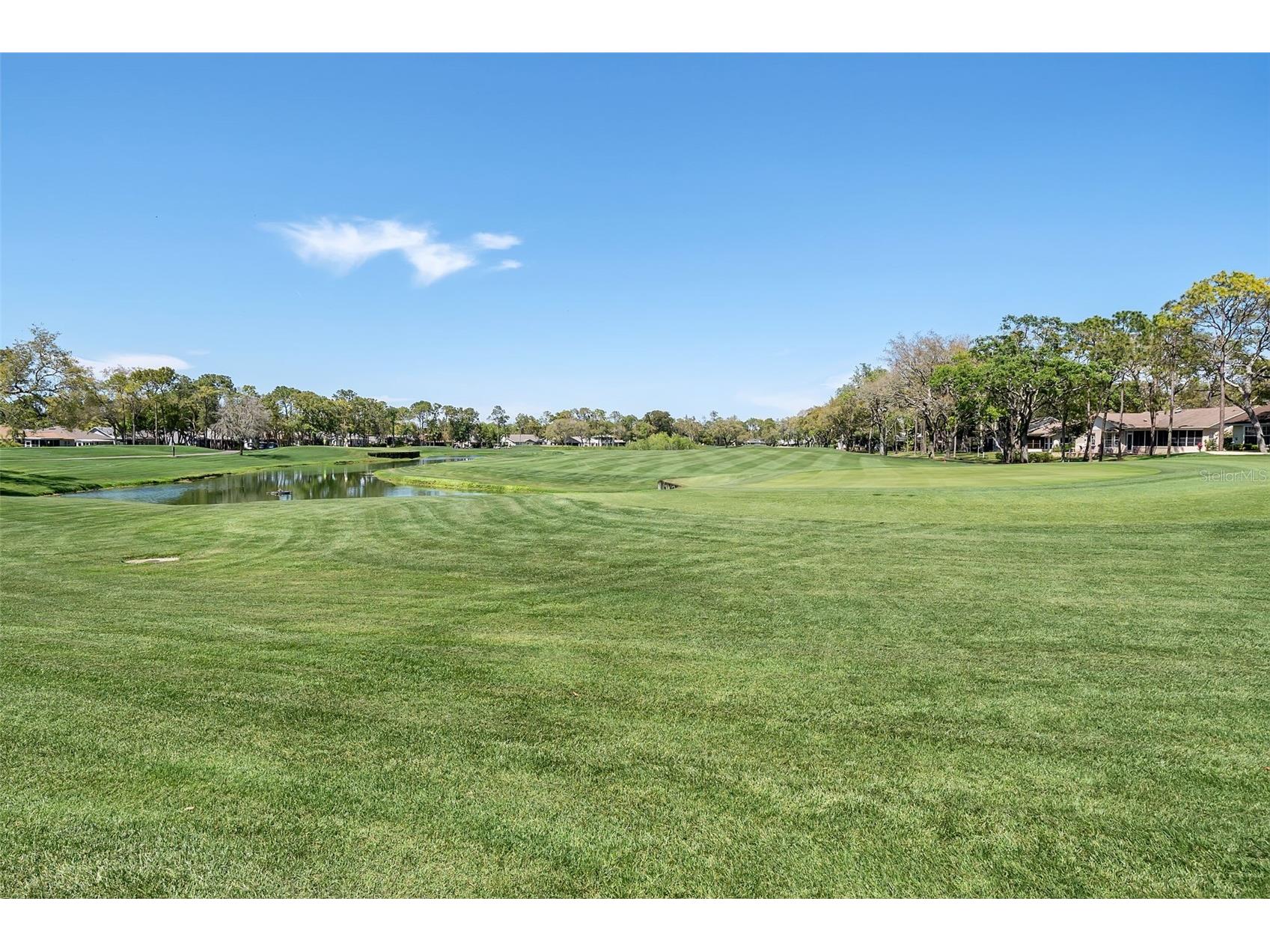 2643 Royal Ridge Drive Spring Hill FL 34606 W7885579 image62