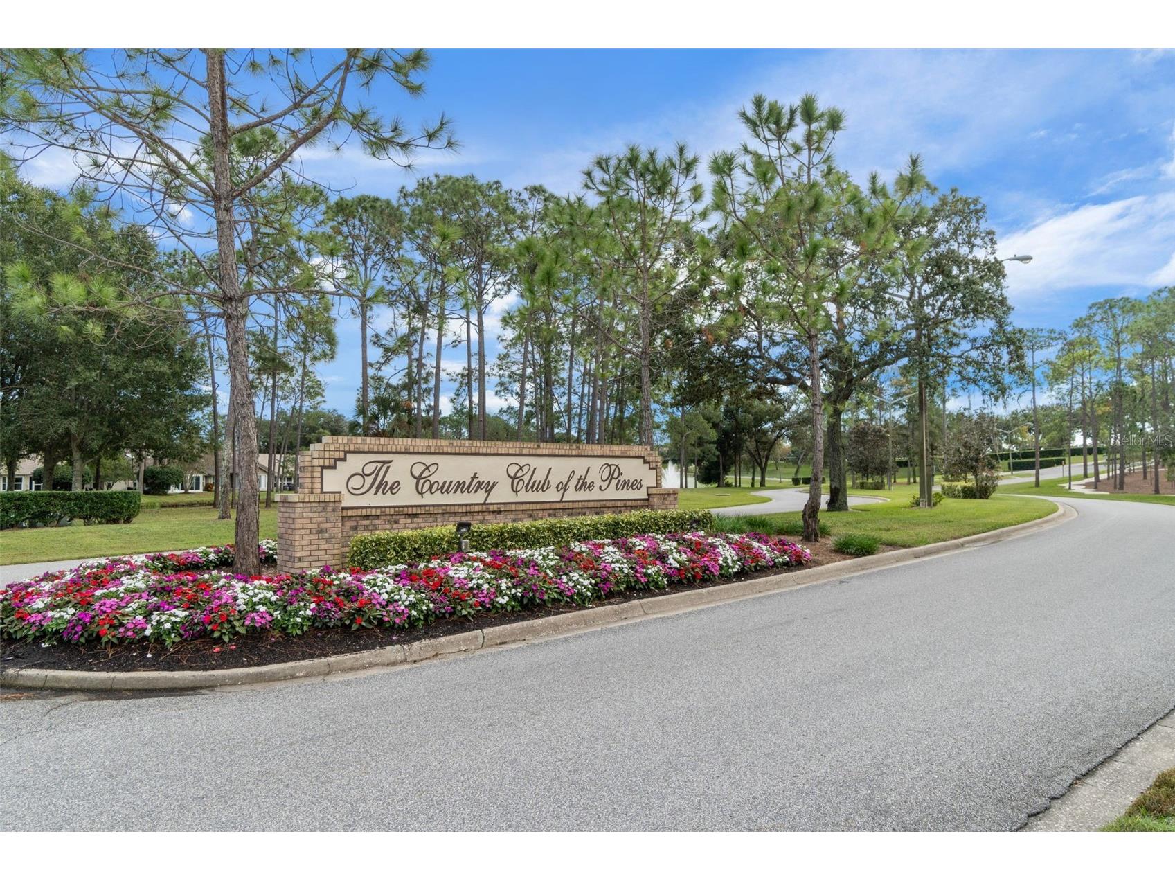 2643 Royal Ridge Drive Spring Hill FL 34606 W7885579 image73