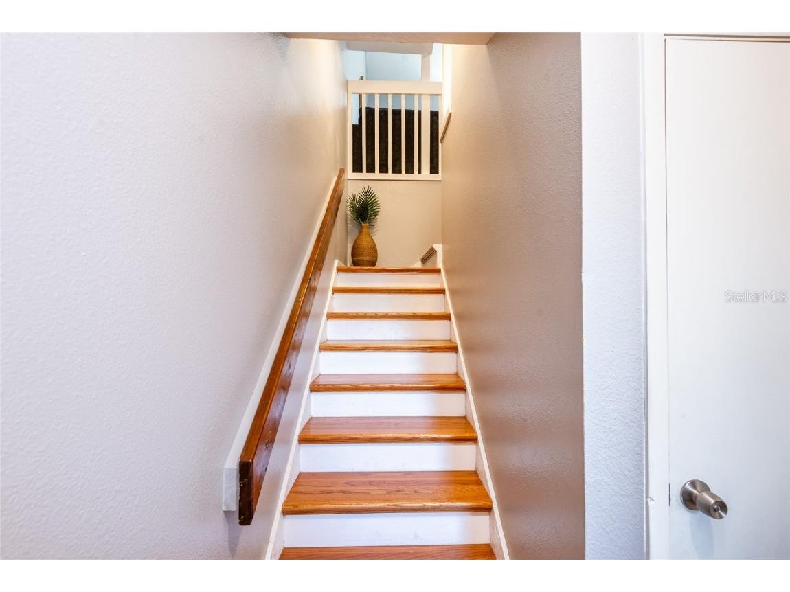 2643 St Josephs Drive W Dunedin FL 34698 TB8386003 image20