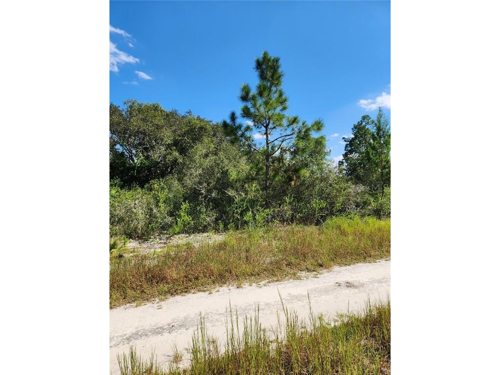 2644 N Todd Road Avon Park FL 33825 C7477162 image1