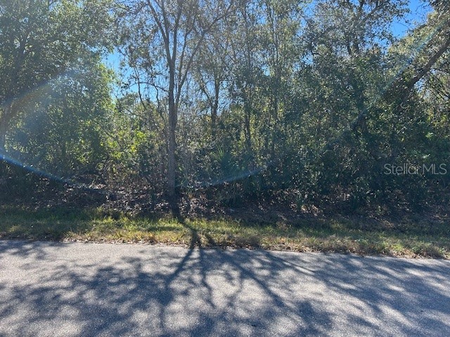 26455 & 26459 Deer Road Punta Gorda FL 33955 C7521296 image2
