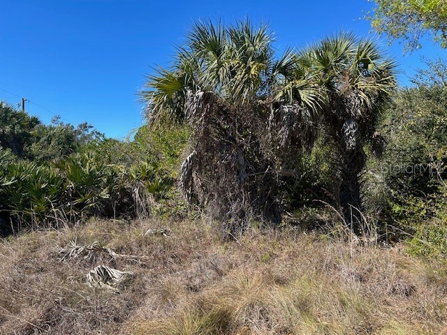 26455 & 26459 Deer Road Punta Gorda FL 33955 C7521296 image4