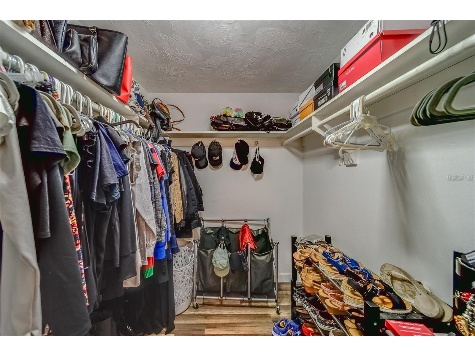 2646 Albion Street Holiday FL 34691 TB8477758 image22