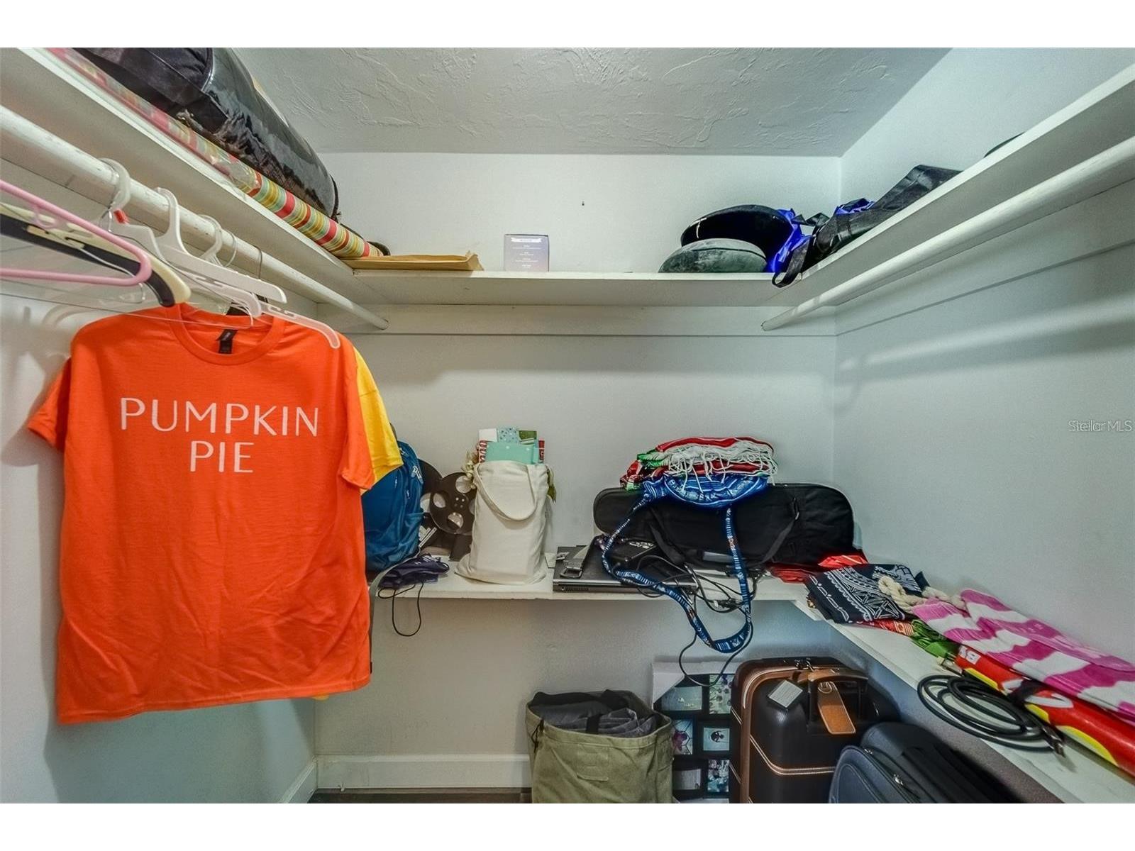 2646 Albion Street Holiday FL 34691 TB8477758 image29