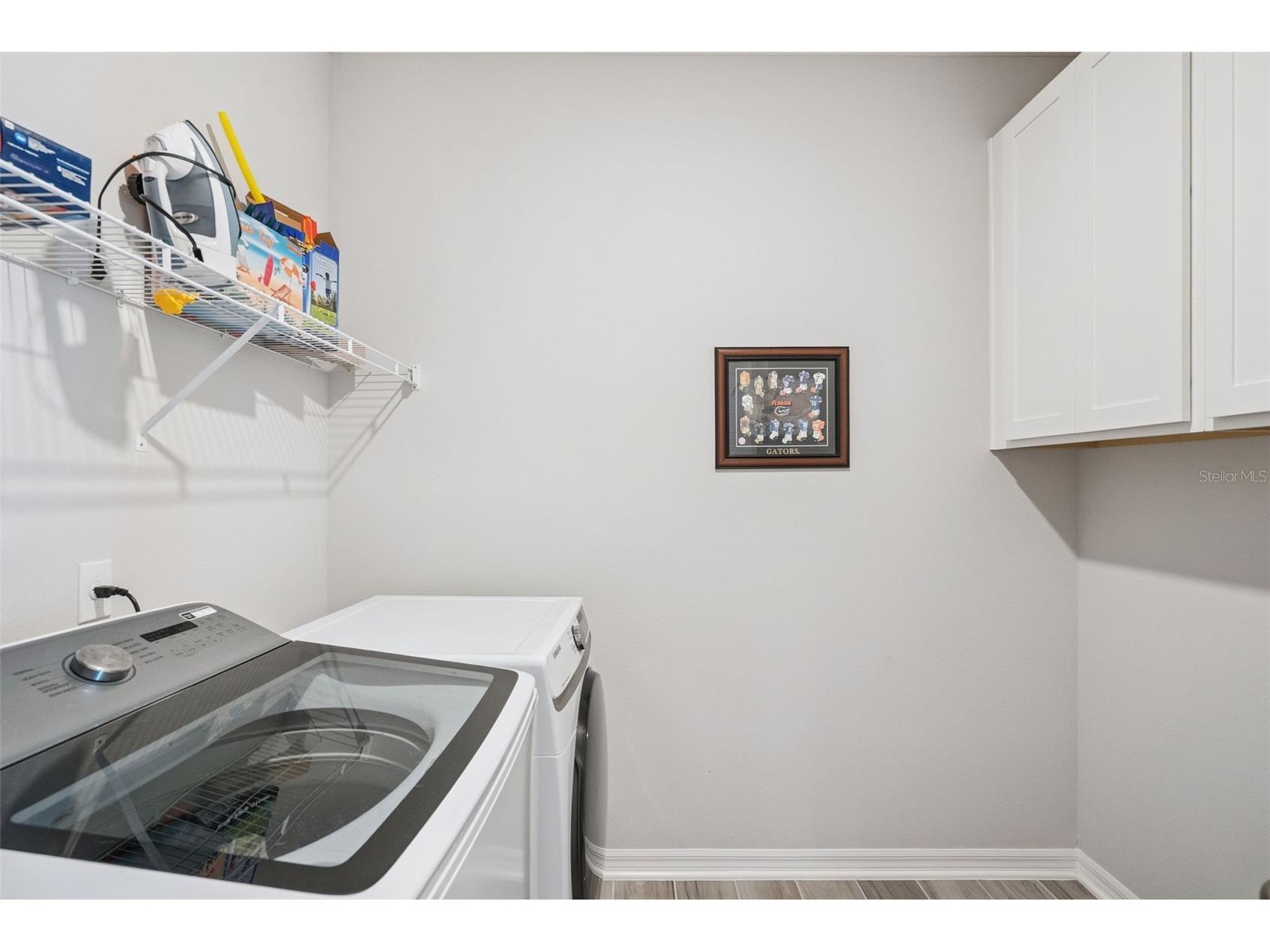 2646 Hinoki Cypress Place Sanford FL 32773 O6408359 image33