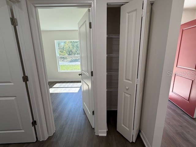 2646 W Sheila Drive Citrus Springs FL 34433 O6341359 image17