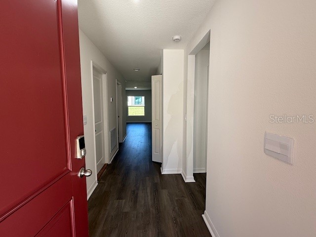 2646 W Sheila Drive Citrus Springs FL 34433 O6341359 image2