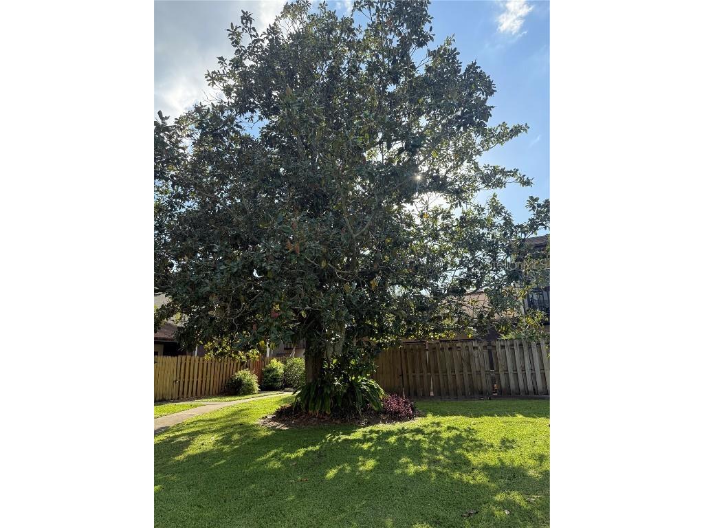 2647 Surrey Court #2647 Kissimmee FL 34741 S5134930 image25