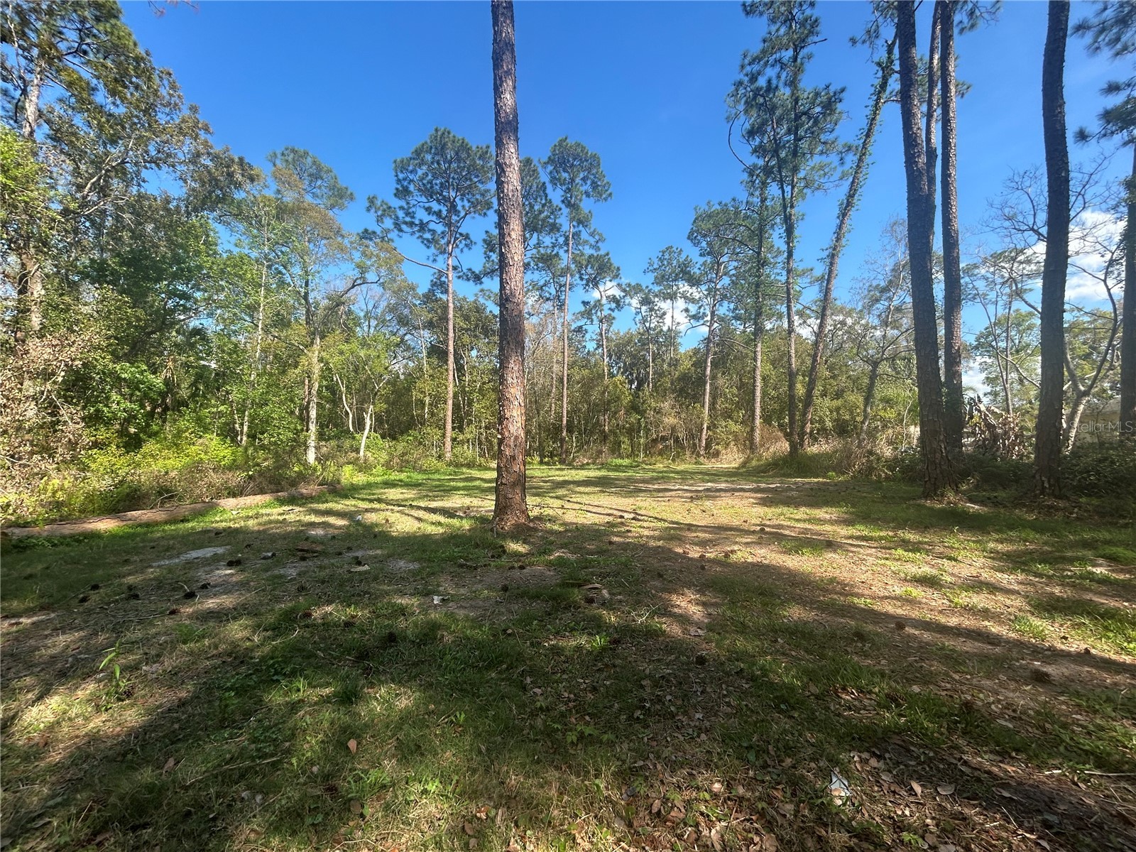 2648 S Park Avenue Sanford FL 32773 O6386574 image2