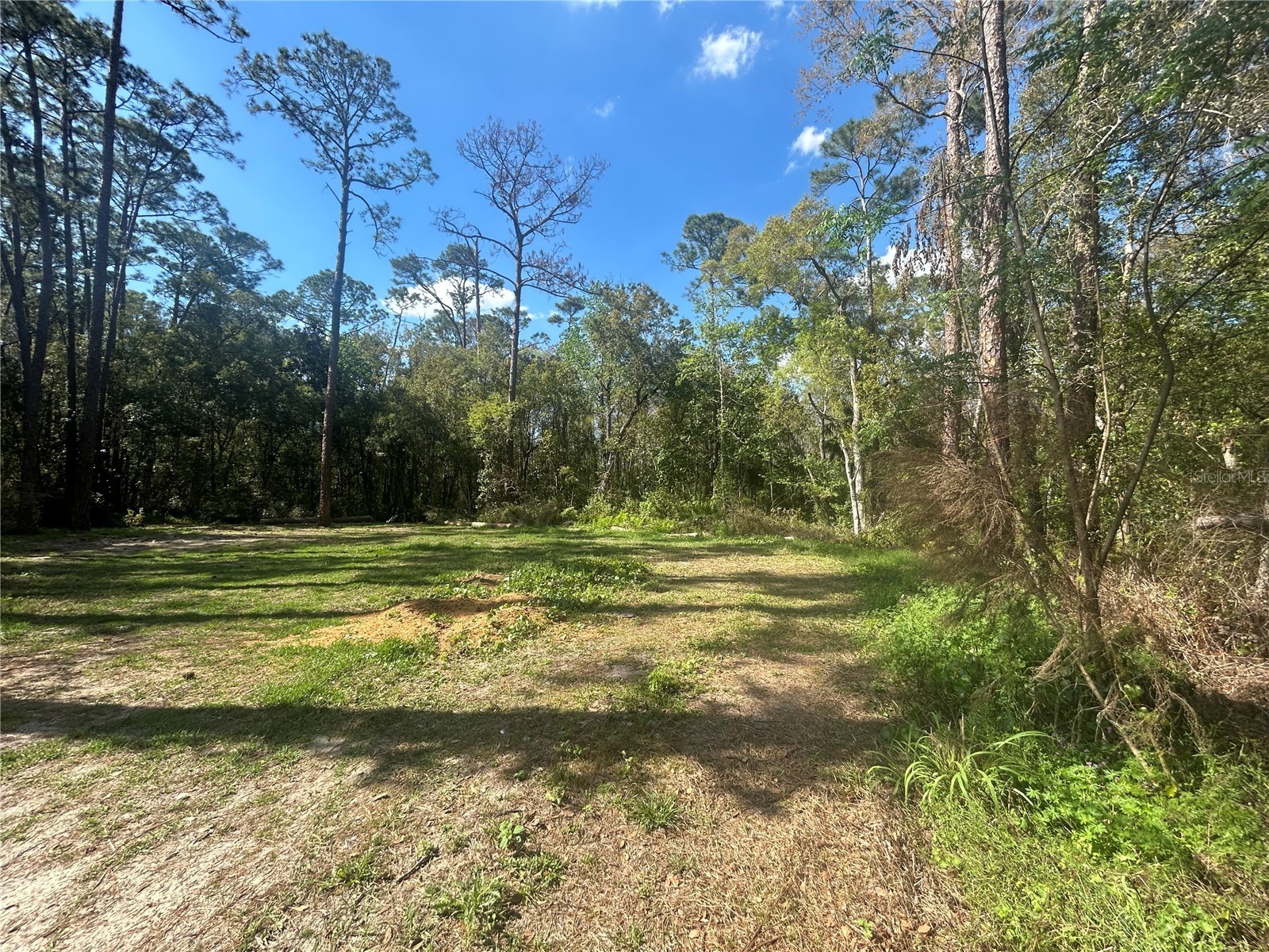 2648 S Park Avenue Sanford FL 32773 O6386574 image4