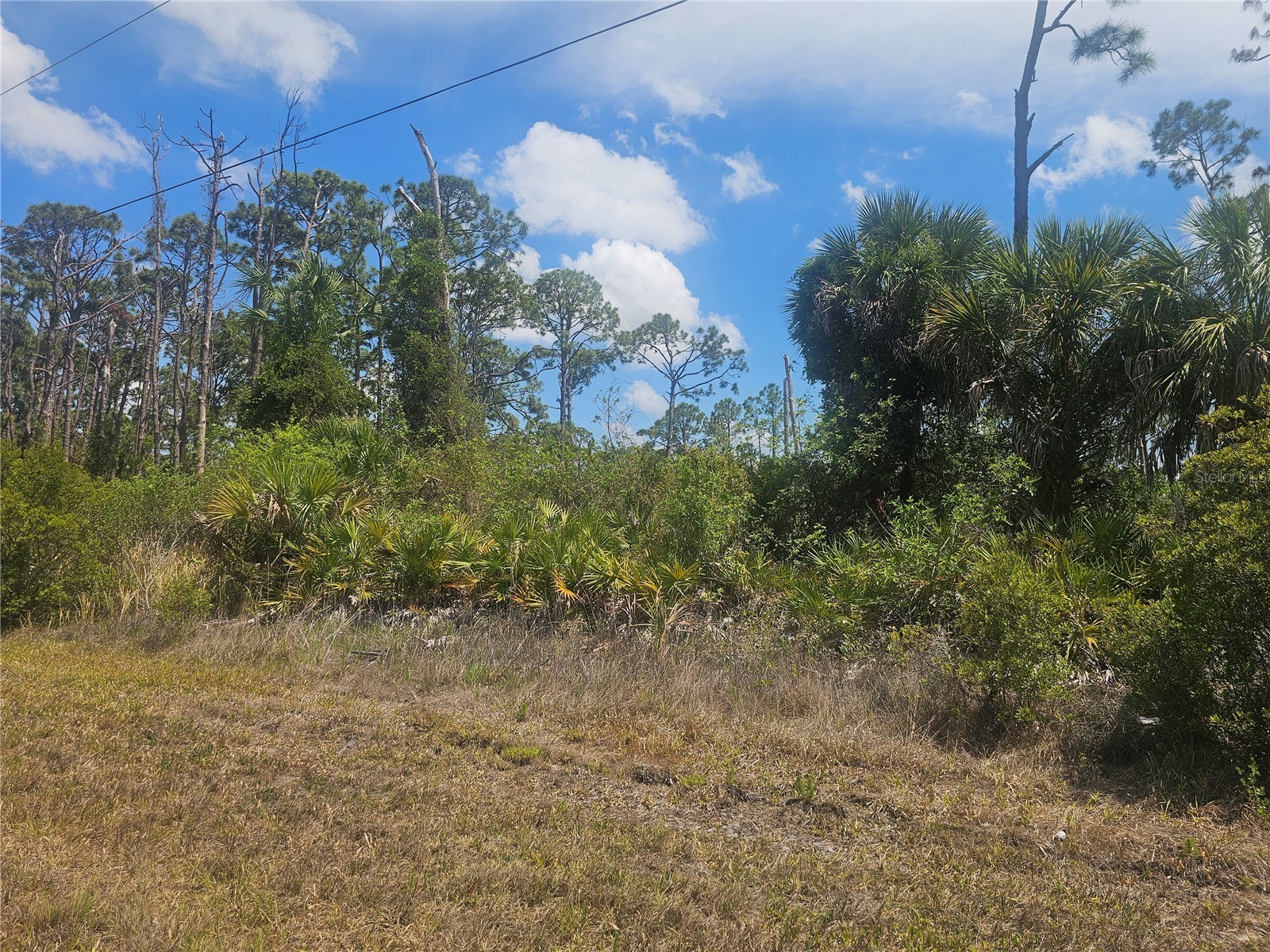 2649 Jacobs Street Port Charlotte FL 33953 C7526195 image1