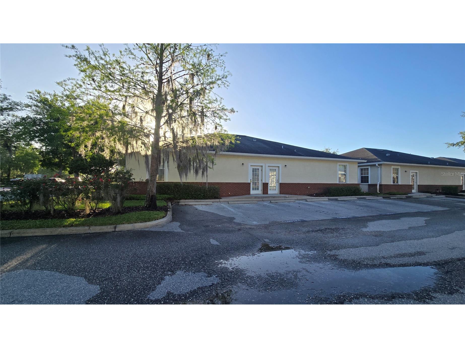 2649 Windguard Circle #102 Wesley Chapel FL 33544 TB8496639 image12