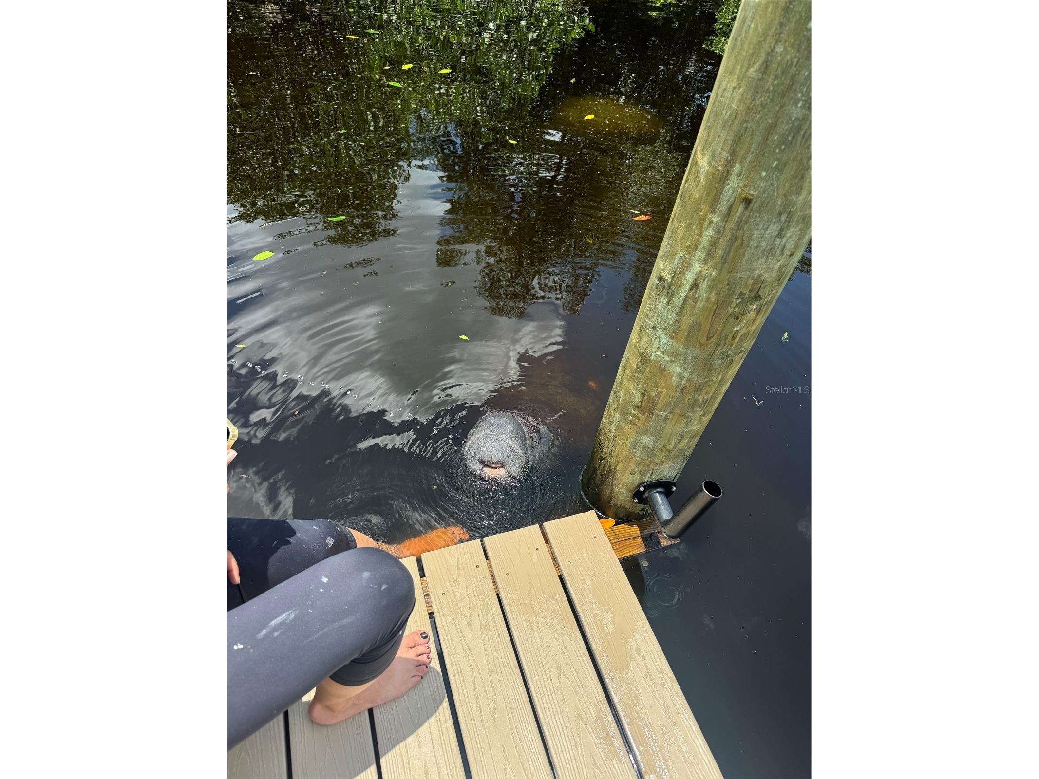 265 96th Avenue N Saint Petersburg FL 33702 - BAY AND GULF TB8431396 image38