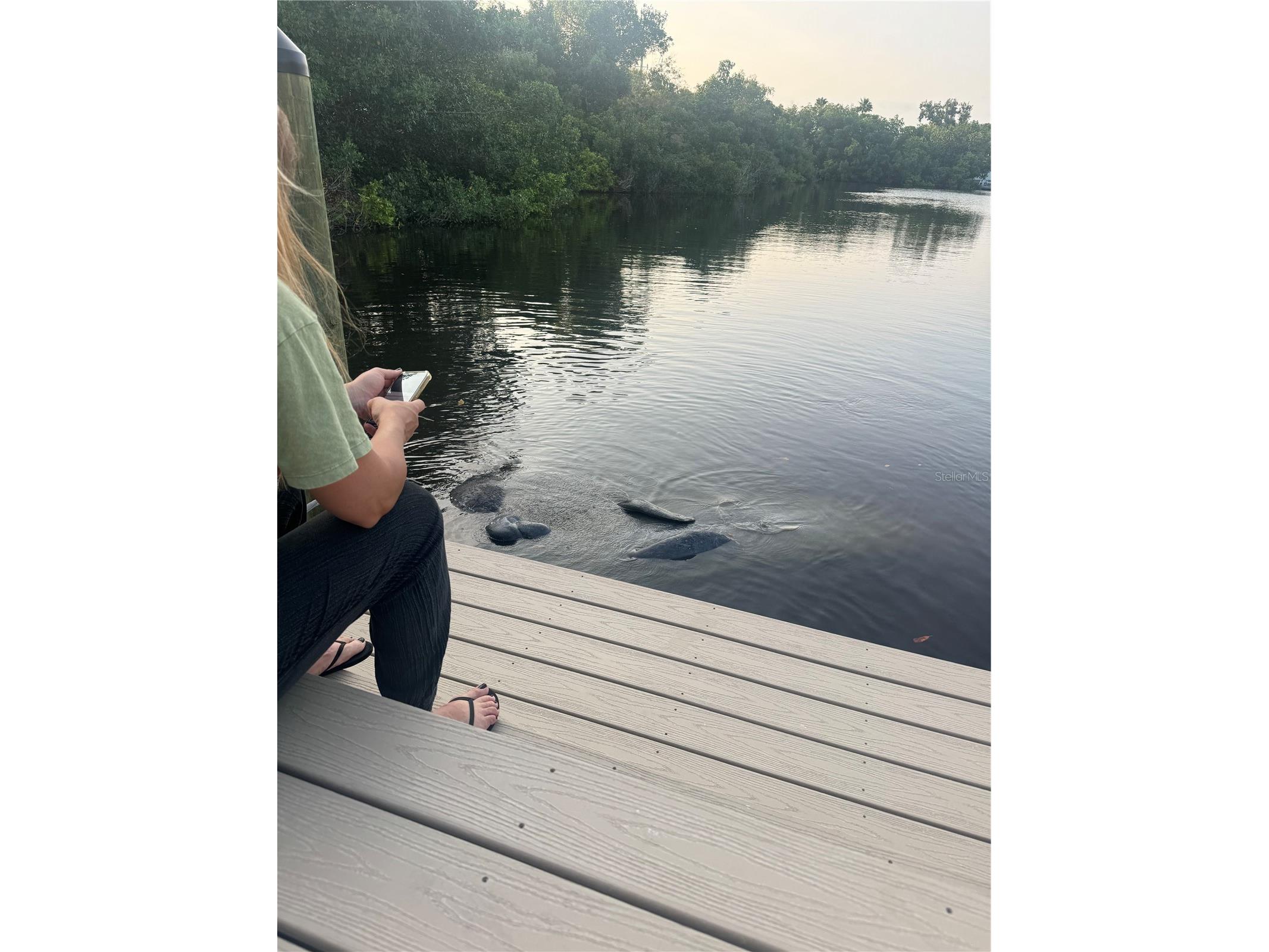 265 96th Avenue N Saint Petersburg FL 33702 - BAY AND GULF TB8431396 image43
