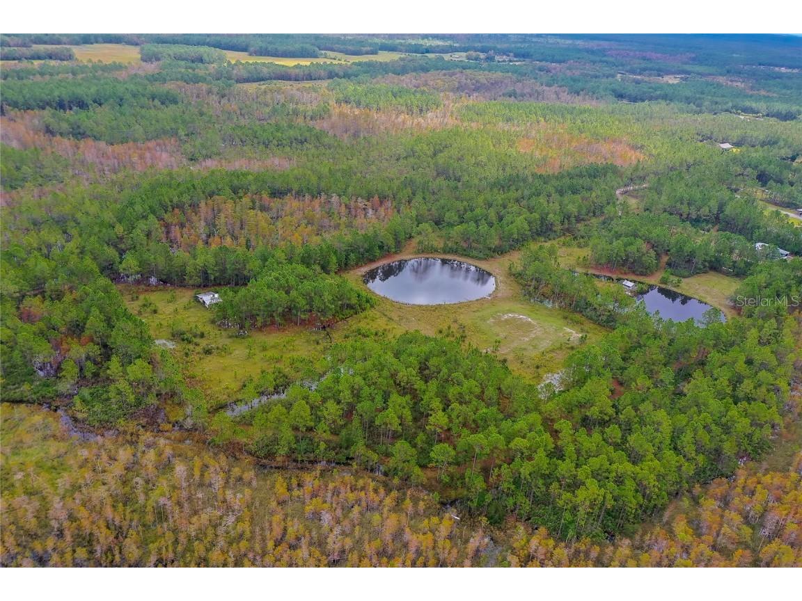 265 Carter Trail Ormond Beach FL 32174 V4945860 image3