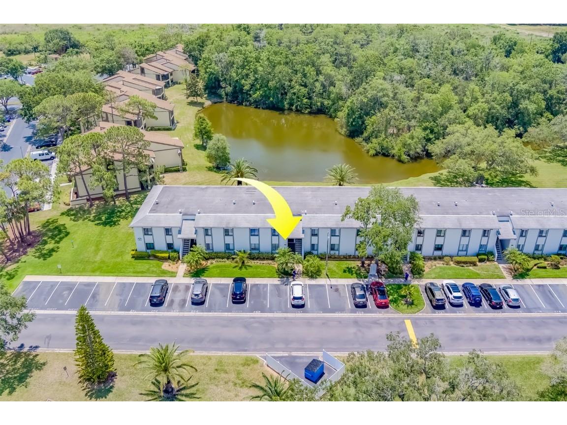 265 Cypress Lane #37 Oldsmar FL 34677 U8243245 image1