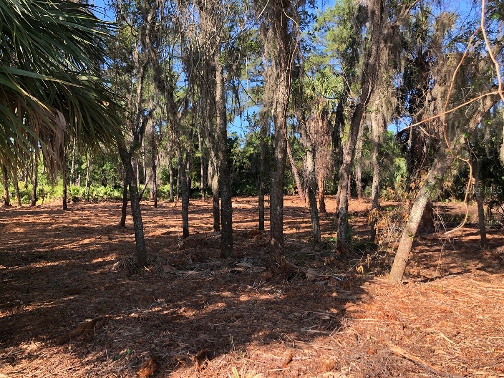 265 Enterprise Road Deltona FL 32725 V4938045 image1