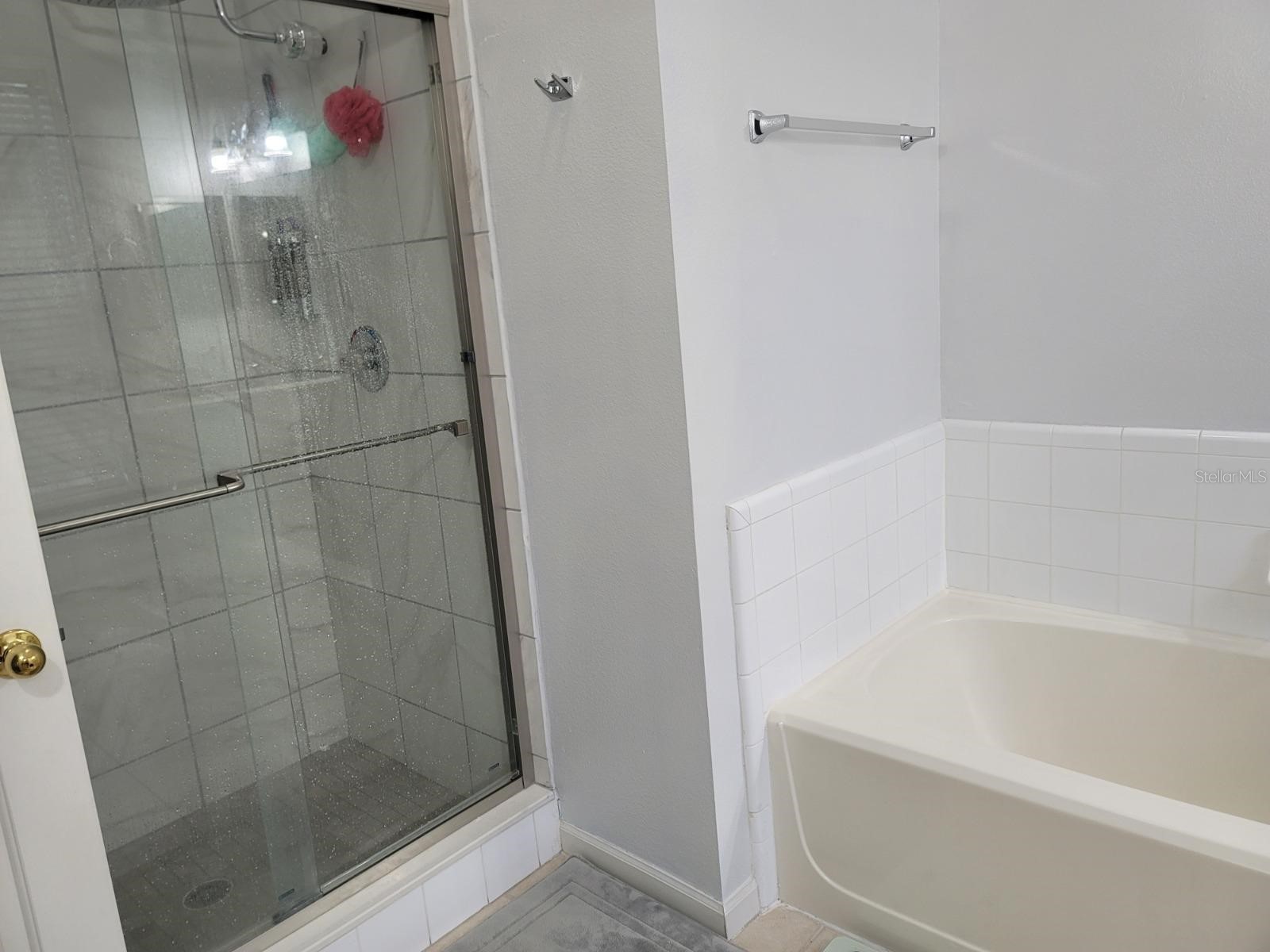 265 Goldenrain Drive #265 Celebration FL 34747 O6413390 image14